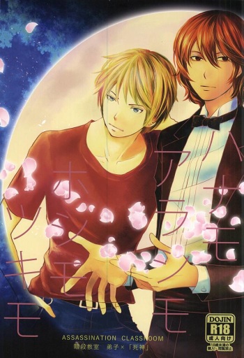 Hana mo Arashi mo Hoshi mo Tsuki mo cover