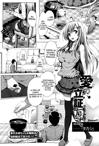 Ai no Risshou Houshiki cover