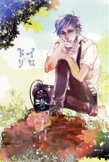 Irodori cover