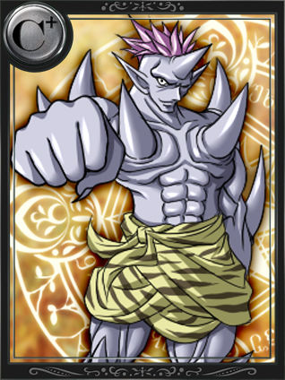 Lord of Walkure ～X Shitei～　（Cards） page 8 full