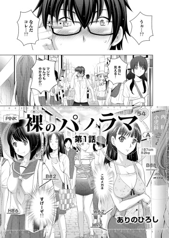 Hadaka no Panorama cover