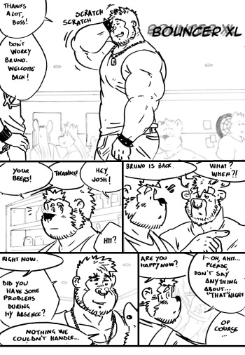 Bouncer XL cover
