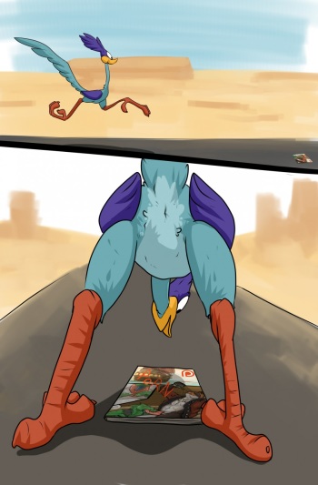 Roadrunner cover