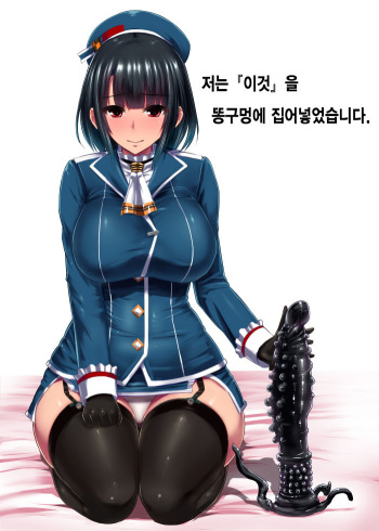 Watashi wa "Kore" o Oshiri ni Iremashita. cover