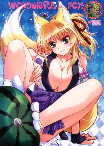 Wonderful Fox cover