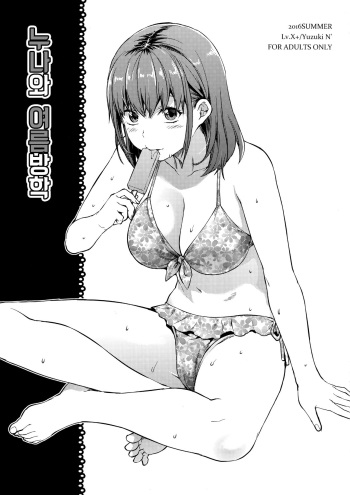 Ane to Natsuyasumi cover