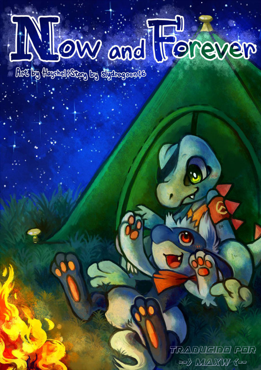 Pokemon Now and Forever page 1 full