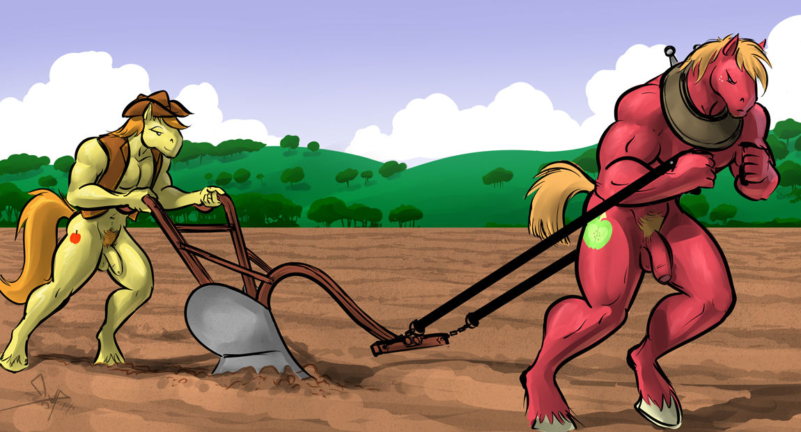 BGN's My Little Pony sexy anthro gallery page 1 full