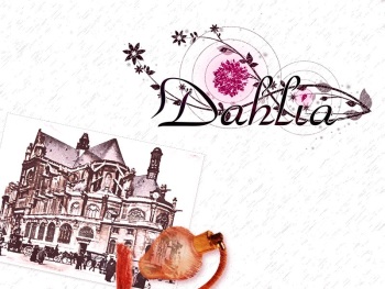 Dahlia cover