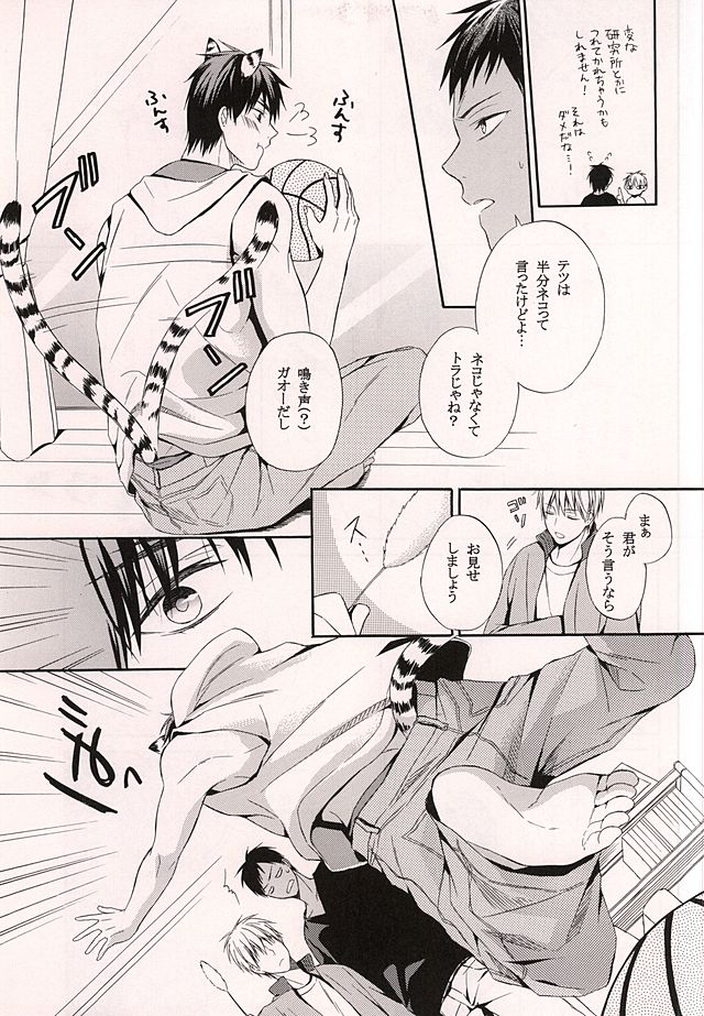 Ore no Kagami ga Konna ni Kawaii Wake ga Nai page 4 full