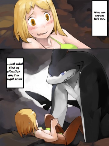 Mersharks cover