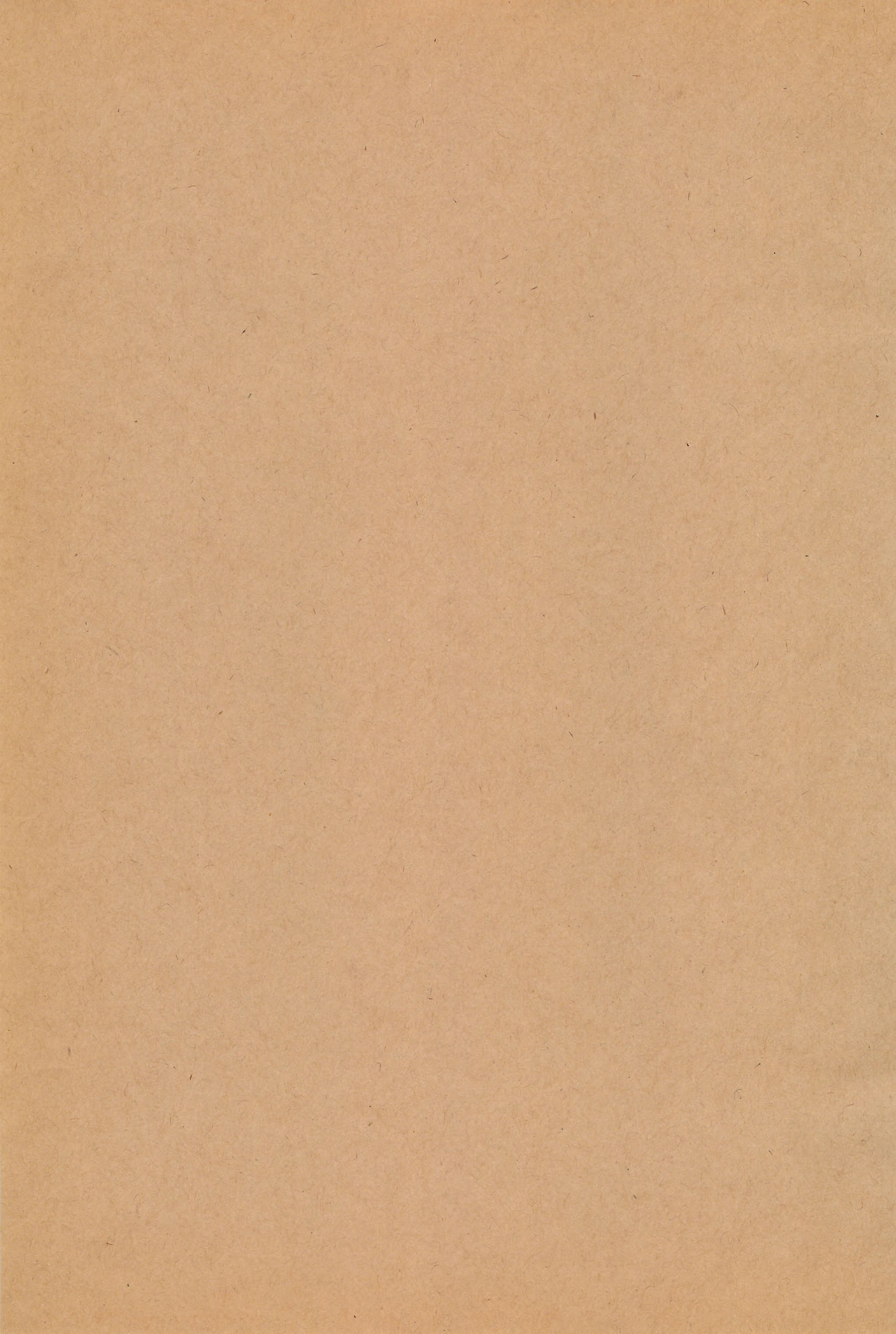 Gokko Syndrome page 3 full