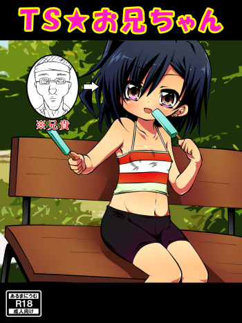 TS Onii-chan cover