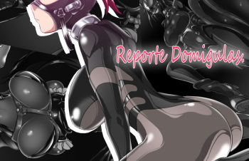 Domigulas Report | Reporte Domigulas cover