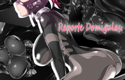 Domigulas Report | Reporte Domigulas