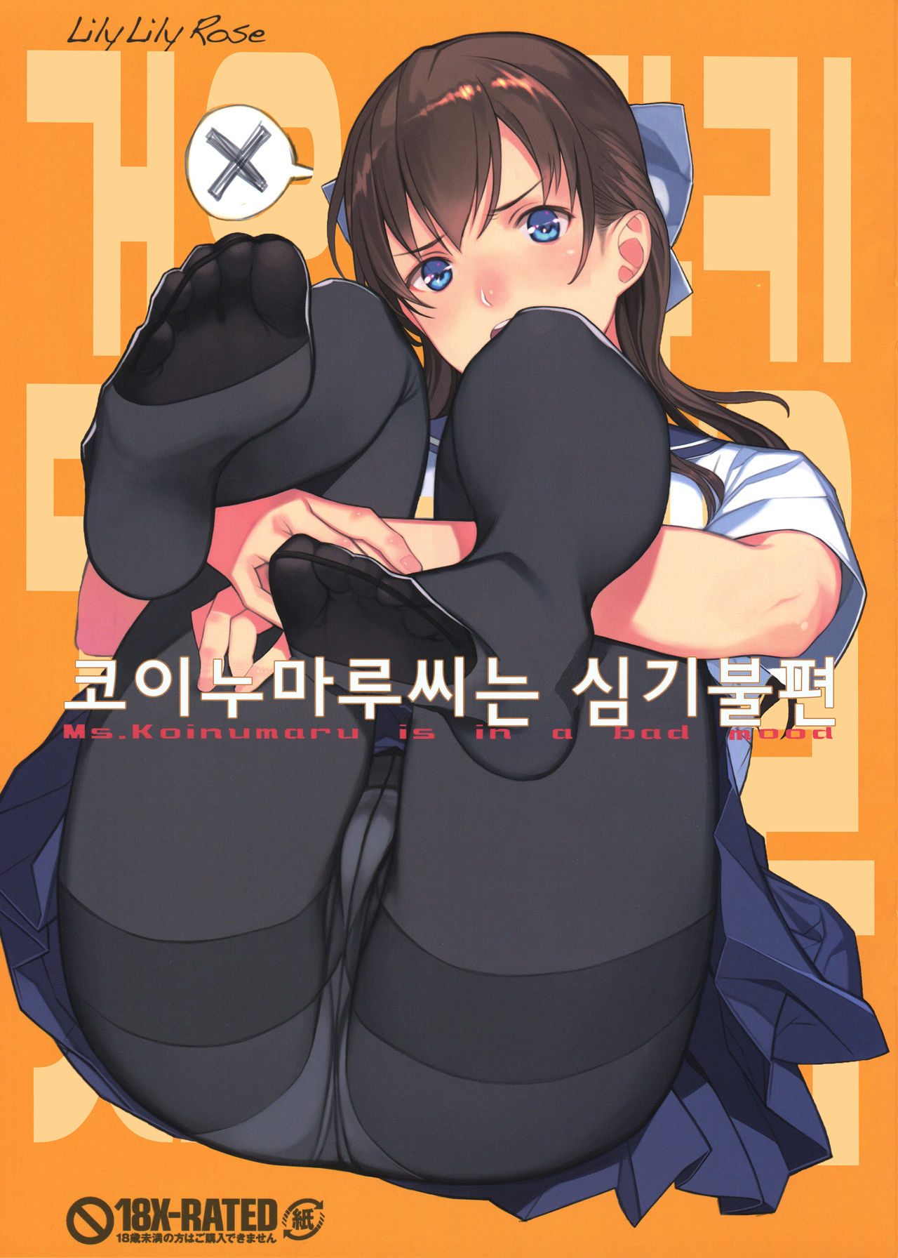 Koinumaru-san wa Gokigen Naname | 코이누마루씨는 심기불편 page 2 full