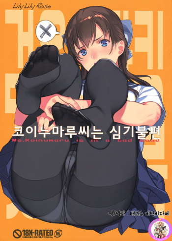 Koinumaru-san wa Gokigen Naname | 코이누마루씨는 심기불편 cover