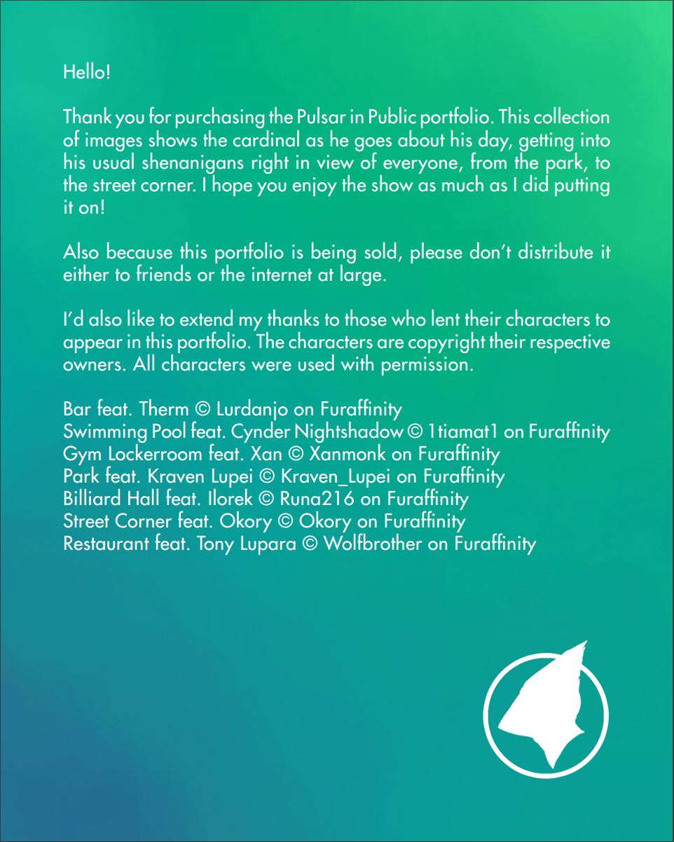 Pulsar In Public page 2 full