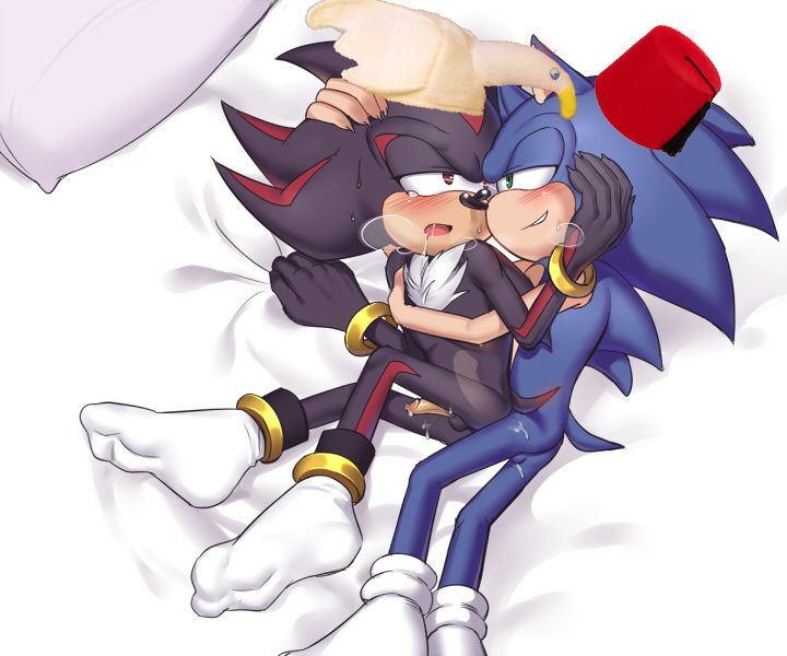 gay sonic porn with hats on page 2 full