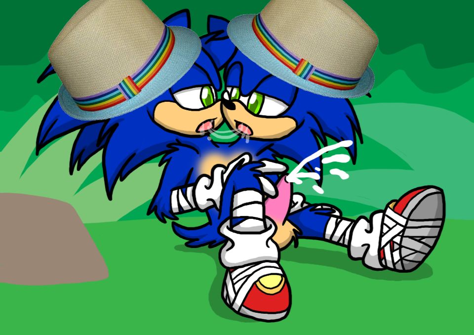 gay sonic porn with hats on page 8 full