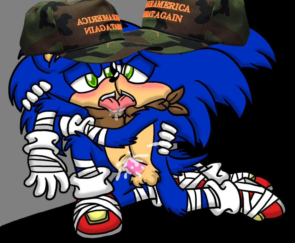 gay sonic porn with hats on page 9 full