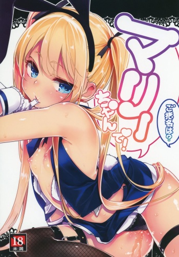 Goshimei wa? Marie-chan de! cover