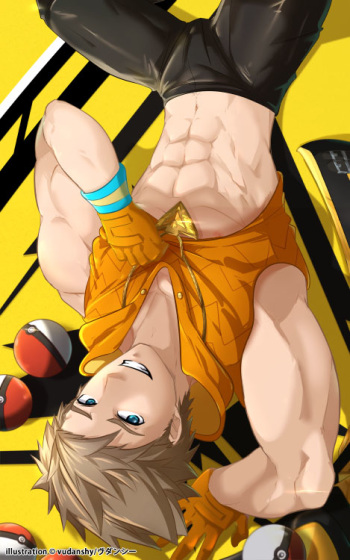 Spark cover