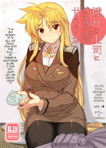 Akogare no Joushi ni Mechamecha Amaetai Hon | I Wanna be Totally Spoiled by My Dear Boss Book cover