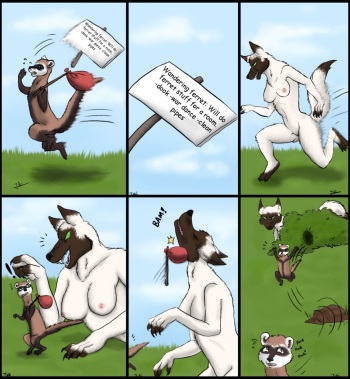 Traveling Woozle Saga cover