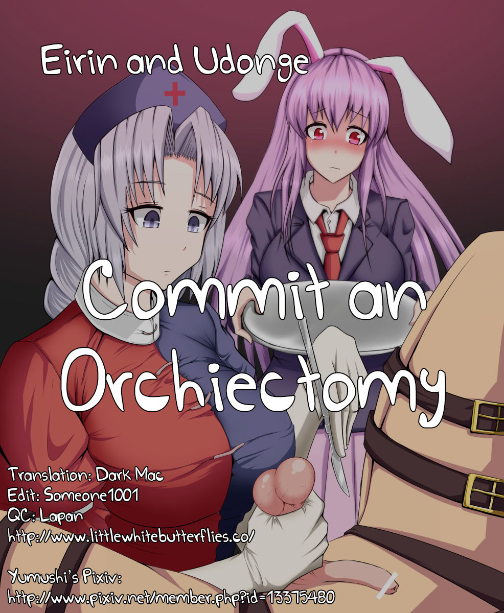 Eirin to Udonge no Kyousei Kougan Tekishutsu Shujutsu | Eirin and Udonge Commit an Orchiectomy   =LWB= page 1 full