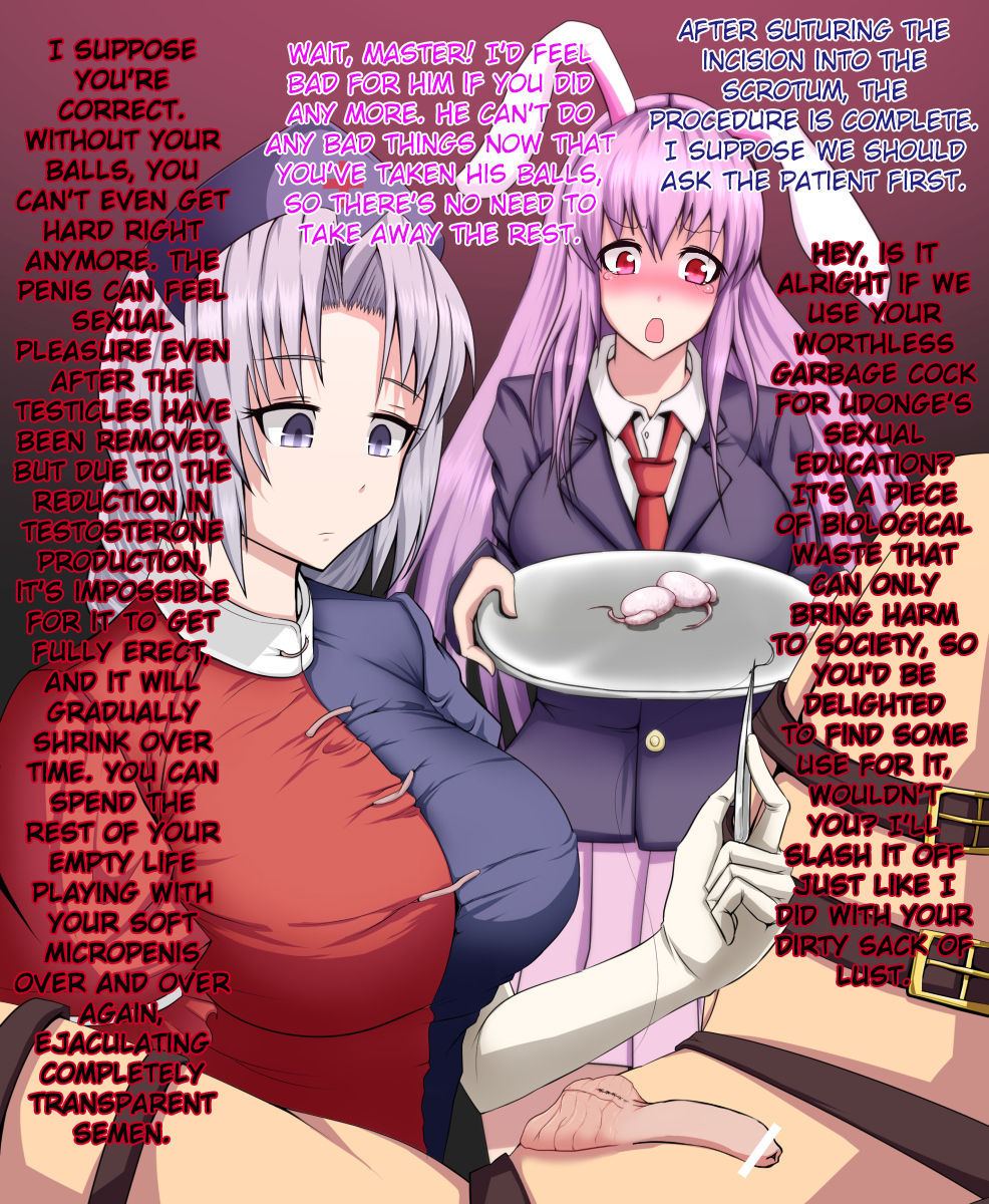 Eirin to Udonge no Kyousei Kougan Tekishutsu Shujutsu | Eirin and Udonge Commit an Orchiectomy   =LWB= page 10 full