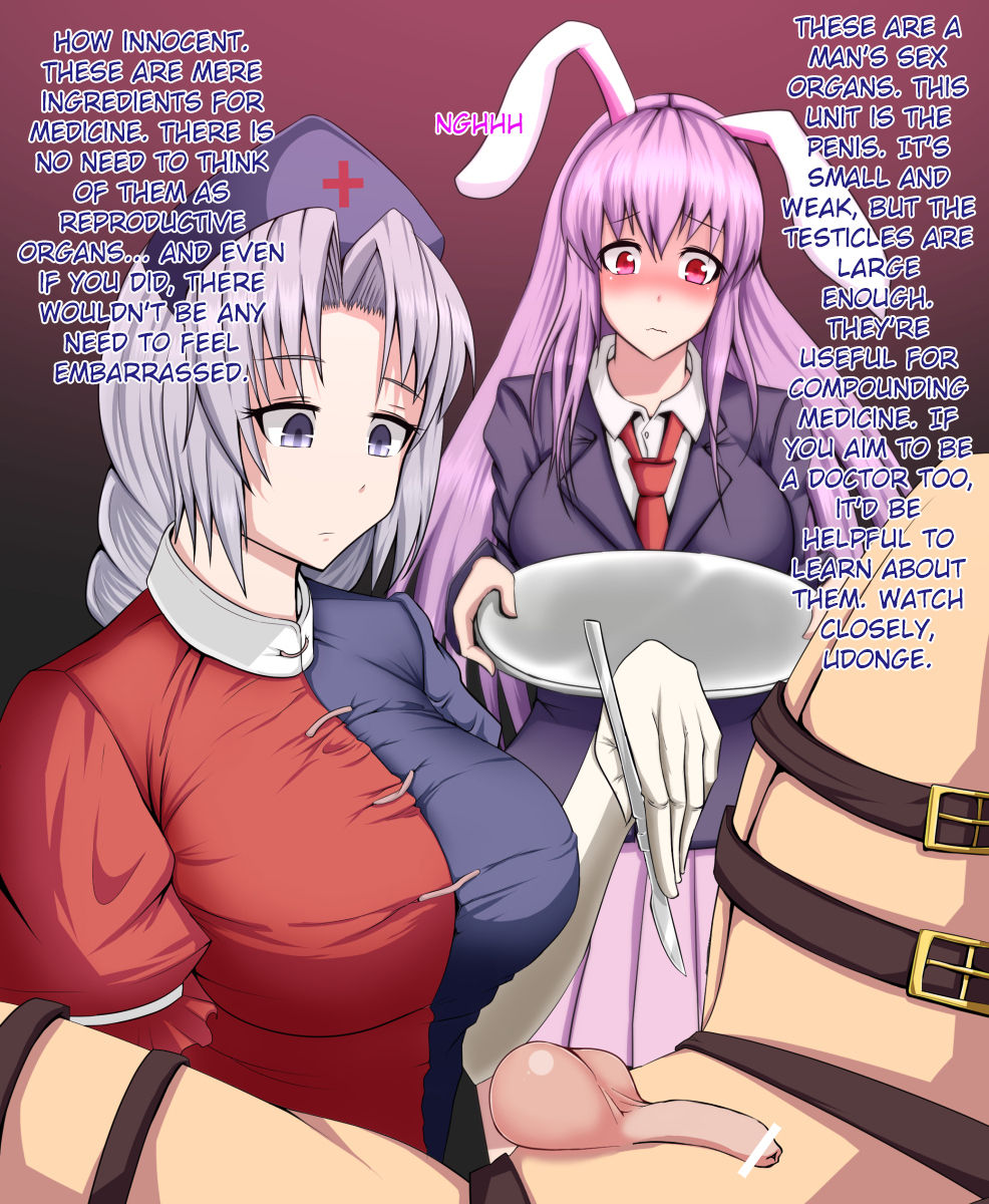 Eirin to Udonge no Kyousei Kougan Tekishutsu Shujutsu | Eirin and Udonge Commit an Orchiectomy   =LWB= page 2 full