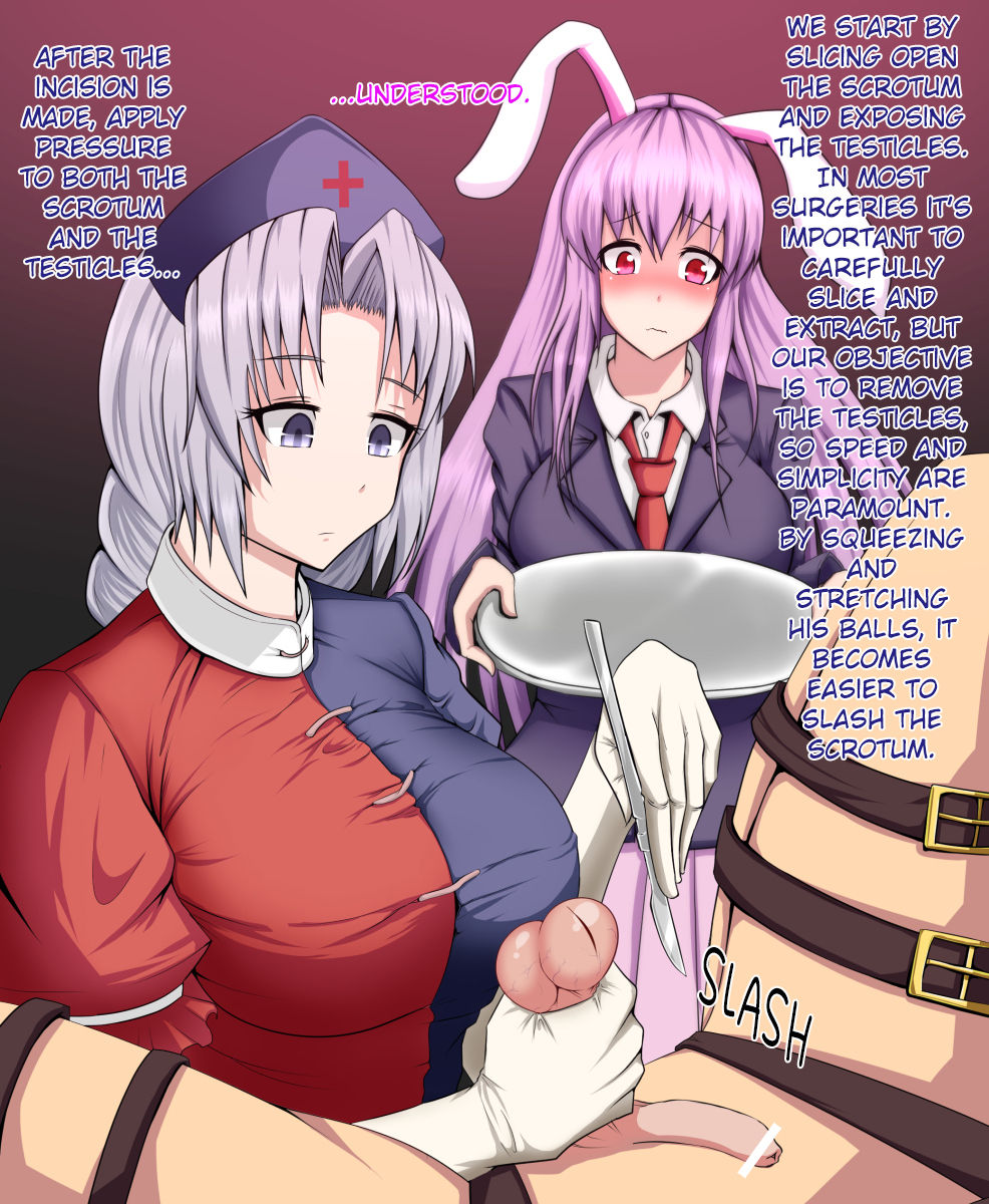 Eirin to Udonge no Kyousei Kougan Tekishutsu Shujutsu | Eirin and Udonge Commit an Orchiectomy   =LWB= page 3 full