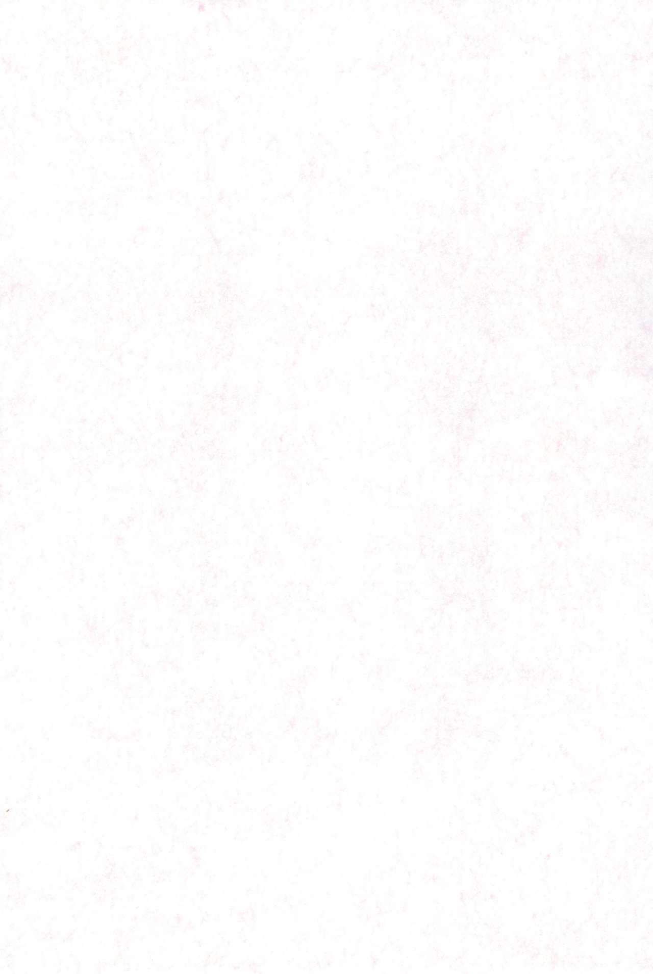 P.P.Plan 4 page 3 full