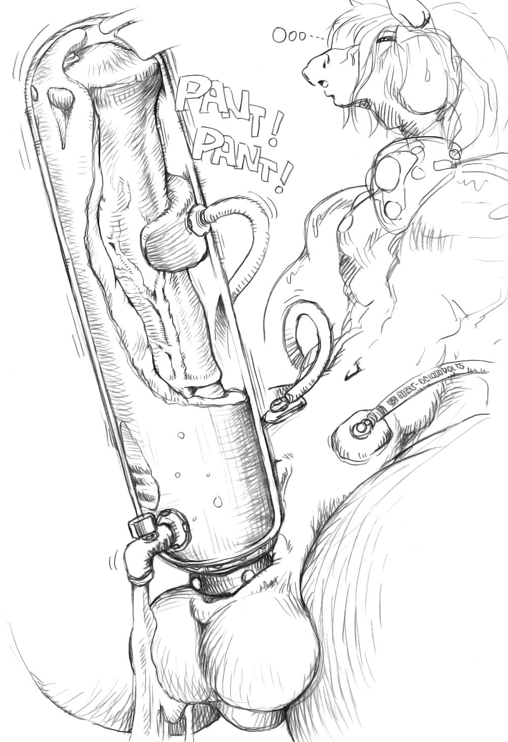 Rare Karabiner Horse Gallery page 2 full