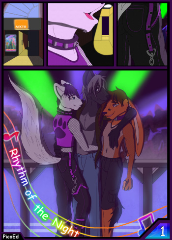 Rhythm of the Night cover