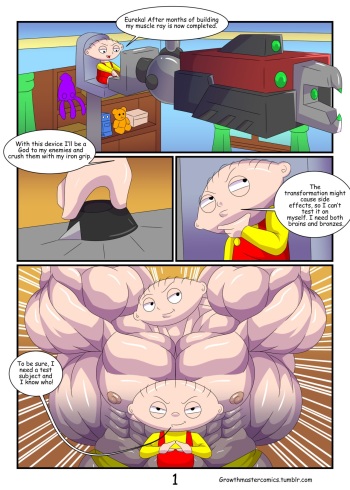 Stewie's Misfire cover