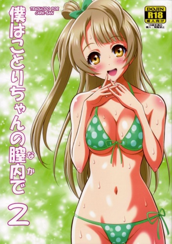 Boku wa Kotori-Chan no Naka de 2 cover