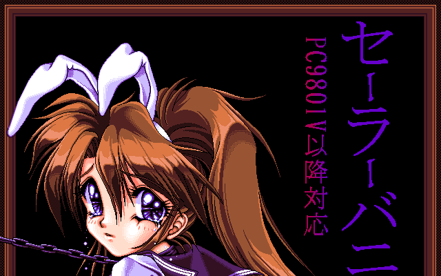 Sailor Bunny Daibakuhatsu page 3 full