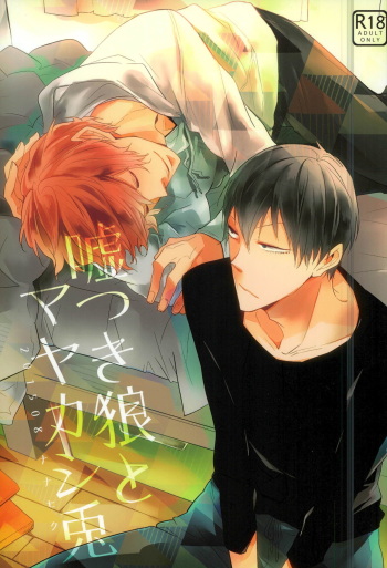 Usotsuki Ookami to Mayakashi Usagi cover