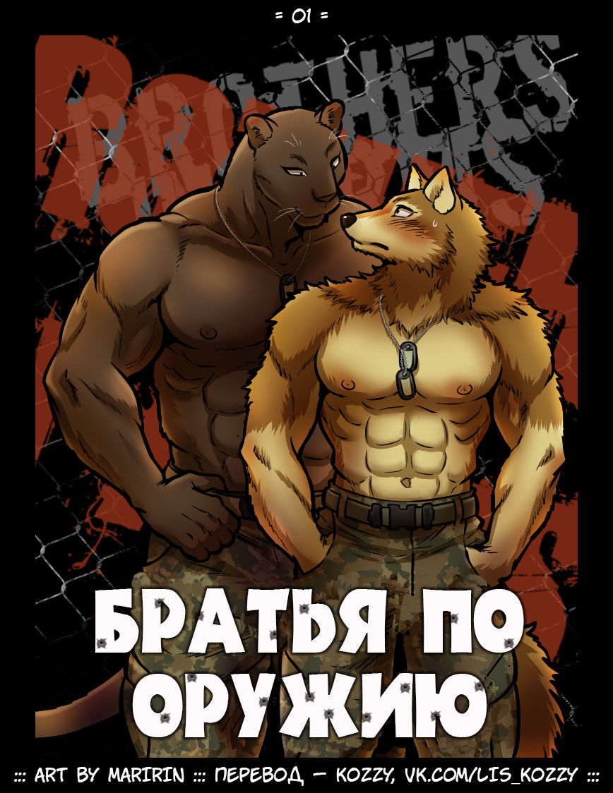 Brothers in Arms / «Братья по оружию» page 1 full