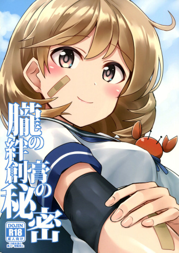 Oboro no Bansoukou no Himitsu cover