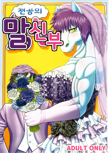 Tenkuu no Uma Yome cover