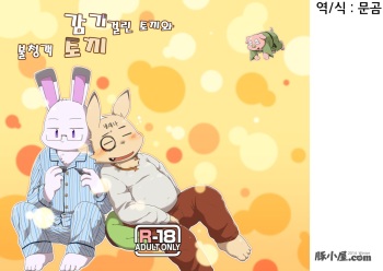 Kazehiki Usagi to Oshikake Usagi cover