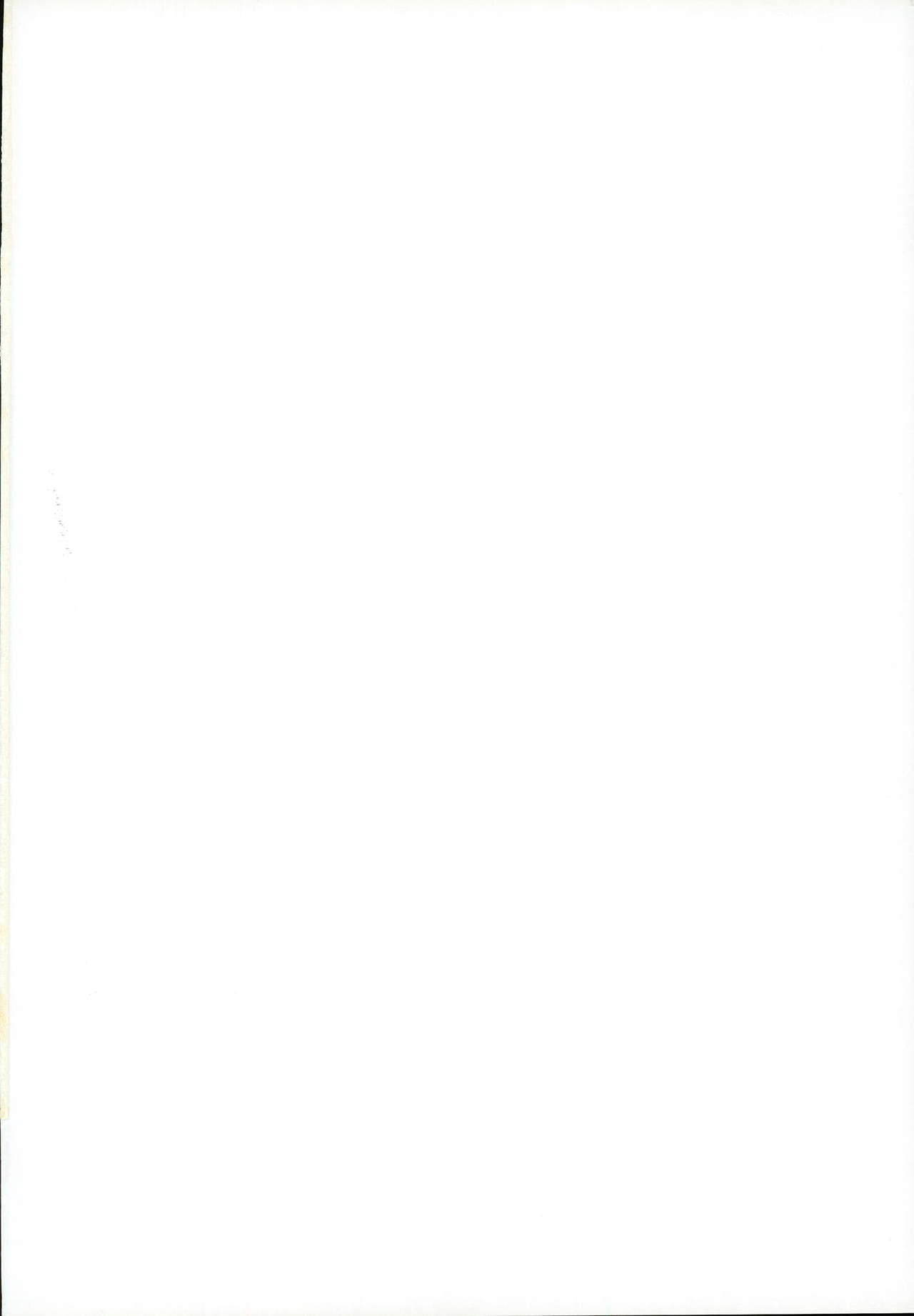 PARAISO page 2 full