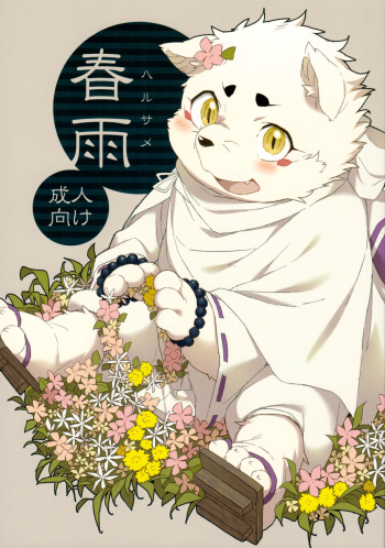 Harusame cover