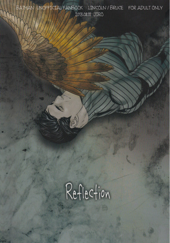 Reflection cover