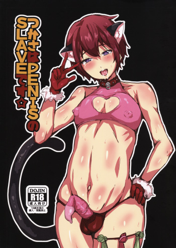 Tsukasa wa PENIS no SLAVE desu cover