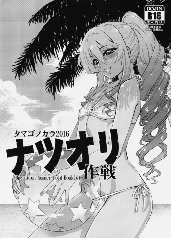 -Operation Summer Fold Booklet- cover