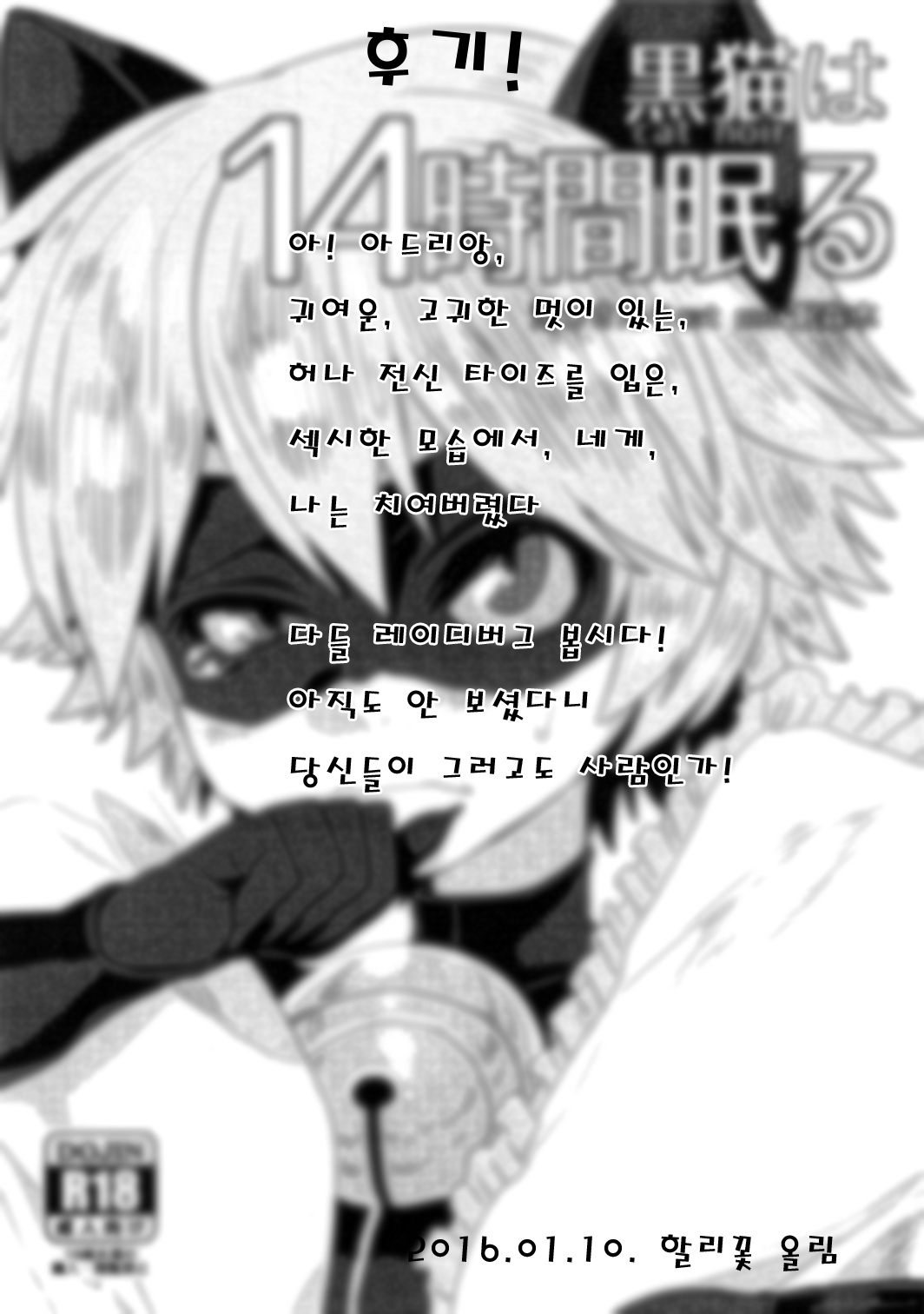 Cat Noir wa 14-jikan Nemuru page 9 full